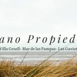 Moyano Propiedades