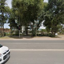 Nesting Pinamar
