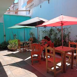 Palmeras Del Tuyu