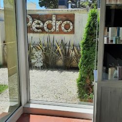 Pedro Estilista