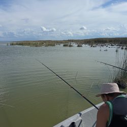 Pesca El Vasco