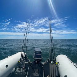 Pesca Embarcado Pinamar