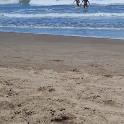 Pinamar