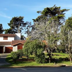 Pinamar Sa Comercial Inmobiliaria