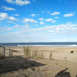 Playa Pinamar