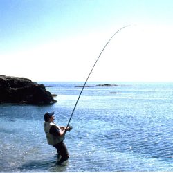 Playa Y Pesca