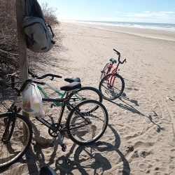 Roller Bicicletas Artesanales Costa Azul