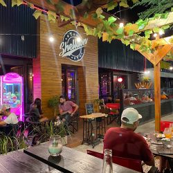 Shelldon Bar