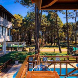 Suites Del Bosque