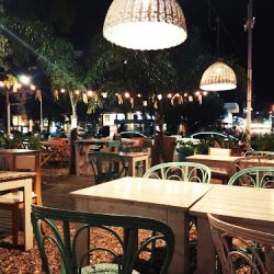 Surfer Bar