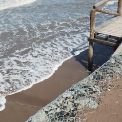 Surferescuela