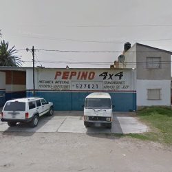 Taller Pepino