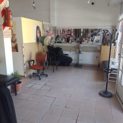 Valeria Testa Estilista Unisex