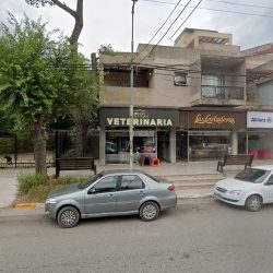 Veterinaria Amores Perros